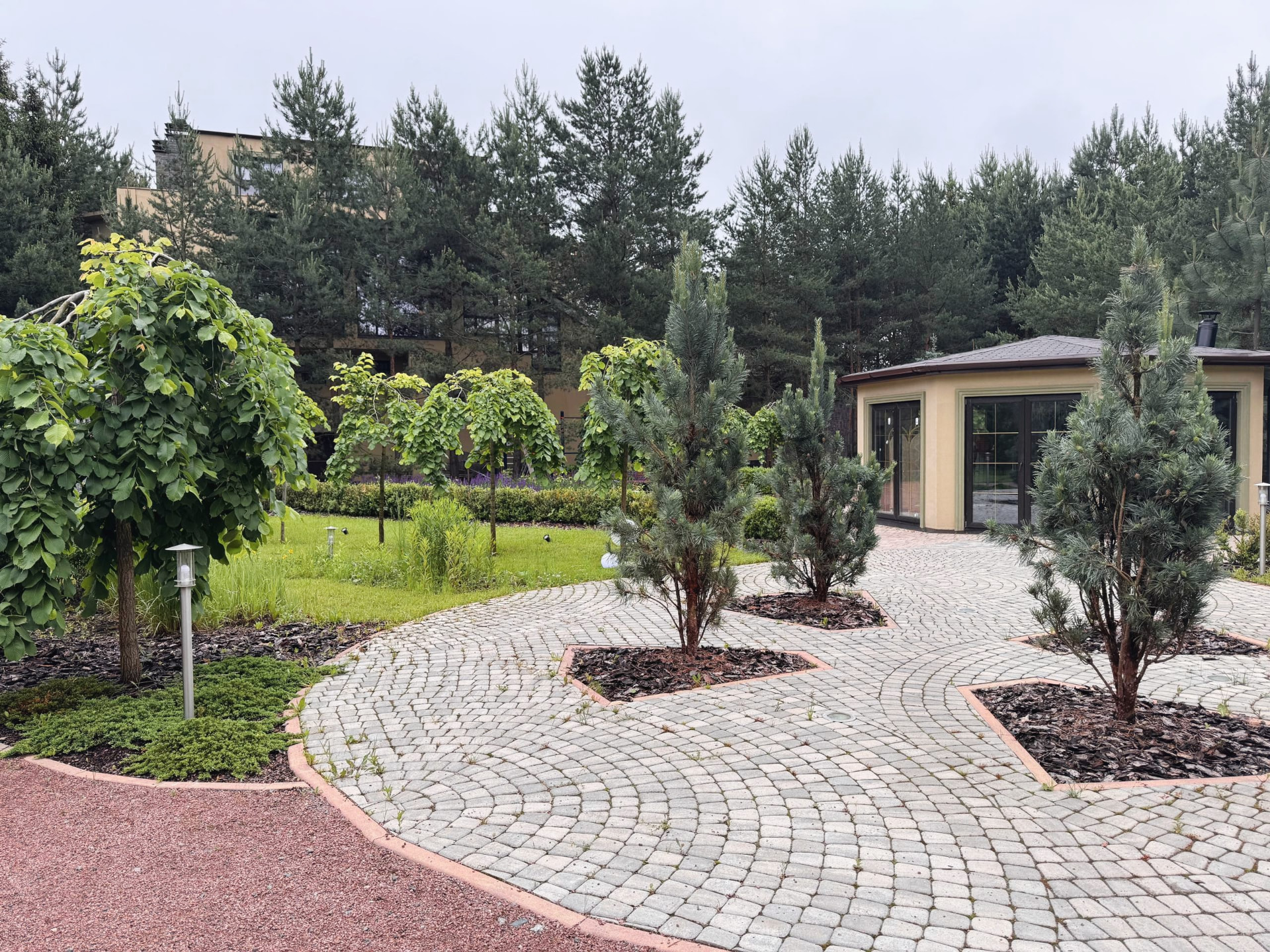 Realized private landscape project: pine trees in mulched planting pockets within curved granite paving